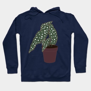 Begonia Maculata Plant – Purple Pot Hoodie